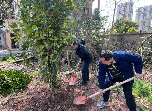 植树活动3.png