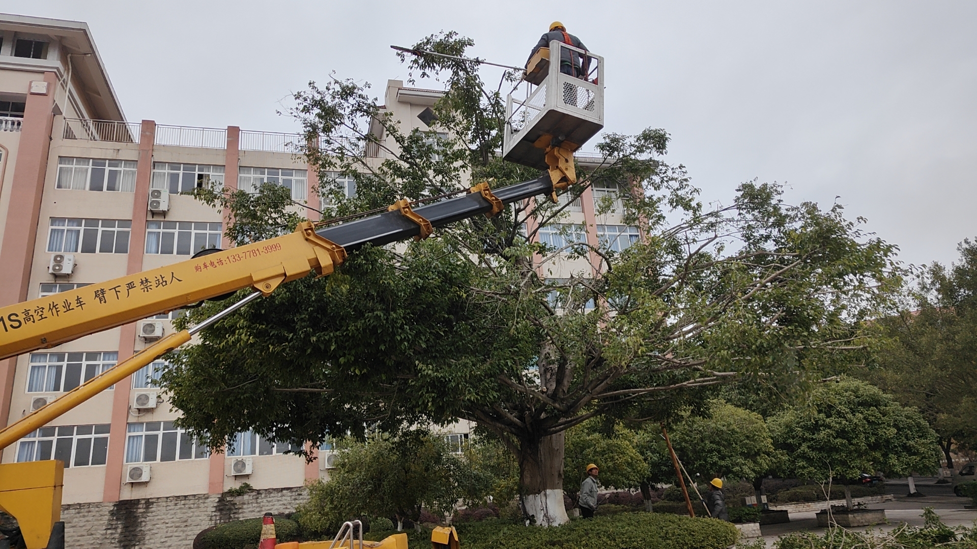 微信图片_20240125102118.jpg 微信图片_20240125102118.jpg